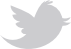 twitter logo