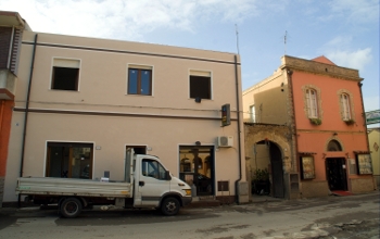 pianta